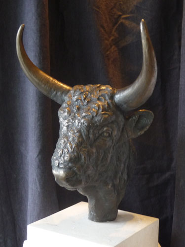 Chillingham Bull Head
